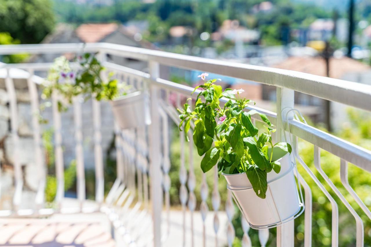 Apartment House Of Artichoke With Amazing Sea View, Dubrovnik Mokosica Exterior photo